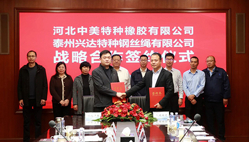 河北衡水市政企代表團蒞臨興達考察，興達&中美達成戰(zhàn)略合作！